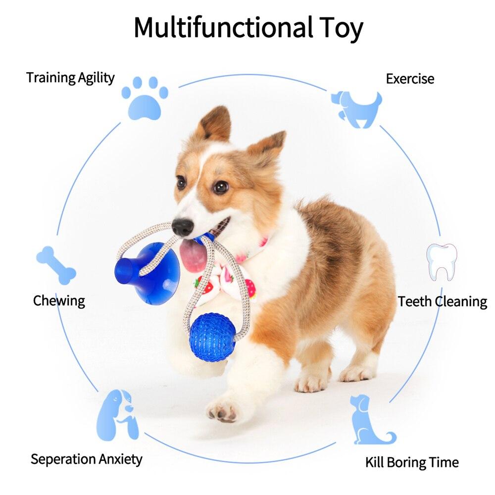 Многофункциональная игрушка для собак канат на присоске с мячом - фото 8 - id-p1708368828