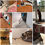 Багатофункціональна іграшка для собак канат на присосці з м'ячем, фото 10