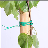 Дріт (шнур) підв'язувальний 30 м для рослин, кущів, дерев, фото 4
