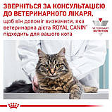 Лікувальний сухий корм для котів Royal Canin Urinary S/O, 1.5кг +4 паучи, фото 2