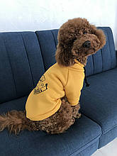 Толстовка 25 см (об'єм до 34см) жовта розмір 2 для собак XS