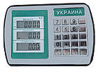 Платформні ваги 500 кг (1250х1500 мм) від Горизонт, наїзні низькопрофільні, з розбірними пандусами, фото 4