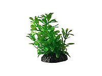 Растение для аквариума 220072