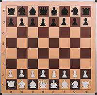 Демонстрационная шахматная доска, 100см x 100см