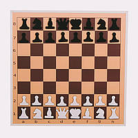 Демонстраційна шахова дошка, 60см x 60см
