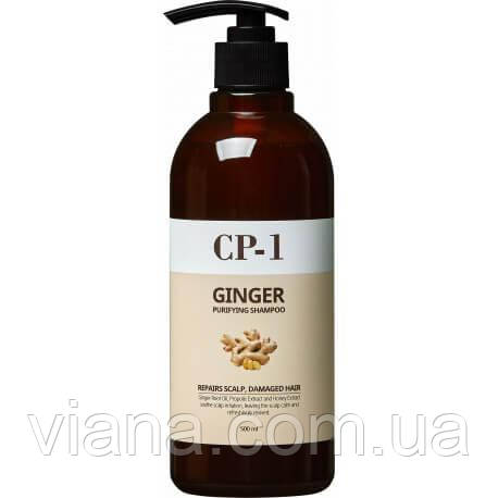 Шампунь для волосся з коренем імбиру Esthetic House CP-1 Ginger Purifying Shampoo 500 мл