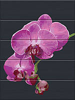 Картина по номерам на дереве "Бархатная орхидея" ArtStory подарочная упаковка 30x40см ASW172