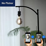 FLSNT G95 Вінтажна лампа-шар з регульованою яскравістю, E27 5,5 Вт, спіральні димчасті промислові лампи, 3 шт., фото 5