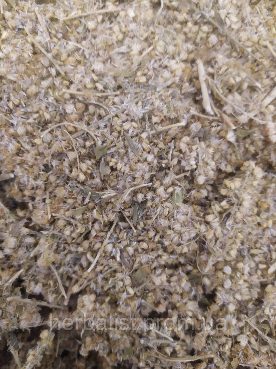 Золотарник 50 Гр — Купить Недорого на Bigl.ua (1478132799)