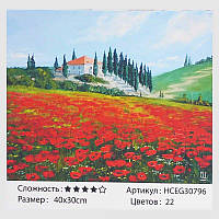Картина по номерам "Цветочное поле" 30796