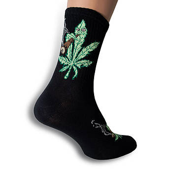 Шкарпетки CANNABIS р.36-40, фото 1