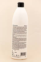 ProfiStyle Шампунь Биосірковий для жирного волосся, 1000 мл, фото 2