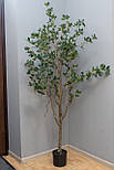 Штучне дерево - Фікус 170 см, в горщику (360368), фото 6