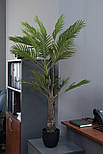 Штучне дерево - Пальма 175 см, в горщику (360375), фото 7