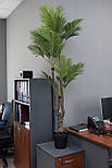 Штучне дерево - Пальма 175 см, в горщику (360375), фото 8