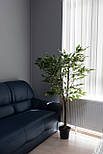 Штучне дерево - Фікус 150 см, в горщику (360429), фото 5
