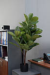 Штучне дерево - Фікус каучуконосний 115 см, в горщику (360474), фото 6