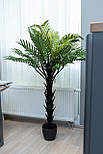 Штучна рослина - Папороть 160 см, в горщику (360528), фото 6