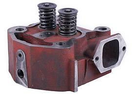 Головка циліндра ТАТА 195N (на мототрактор)