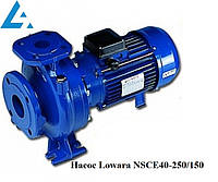 Насос NSCE40-250/150 Lowara (раніше насос FHE40-250/150). Ціна грн Україна