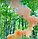 Кольоровий дим для фотосесії Помаранчевий Maxsem MA0512 Orange smoking fountain 60 сек, фото 6