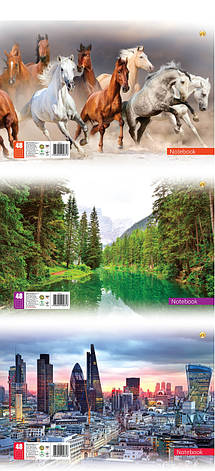 Зошит А-4 48арк. 351 Тетрада mix, фото 1