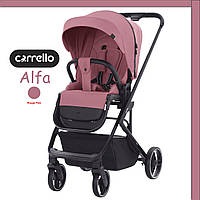Коляска детская прогулочная CARRELLO Alfa CRL-5508 Rouge Pink Розовый