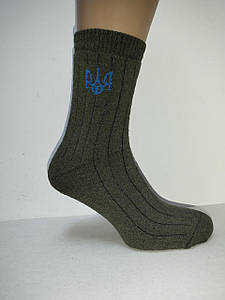 Шкарпетки чоловічі махра Герб України 25-27 р. (12 пар!) (Зимові) Варос