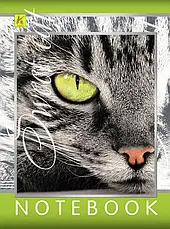 Зошит А-5 64арк. тв.обкл. Коленкор mix, фото 5