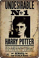 Металлическая табличка / постер "Гарри Поттер (Undesirable)" 20x30см (ms-001002)