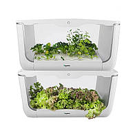 VEGEBOX HOME - крытый гидропонный сад Vegebox by BioChef - Home Box 2-уровня