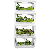 VEGEBOX HOME - крытый гидропонный сад Vegebox by BioChef - Home Box 4-уровня