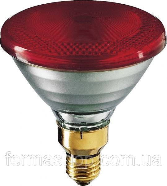 Лампа инфракрасная Philips, PAR38, красная 100W - фото 1 - id-p1709491480