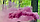 Кольоровий дим Maxsem MA0512 набір Фіолетовий Жовтий Зелений Бордовий Помаранчевий 60 сек, 5 шт/уп, фото 4