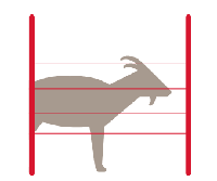Электропастух для коз 9/12 V. Под деревянный столбик(комплект на 300 м.) - чкетыре ряда
