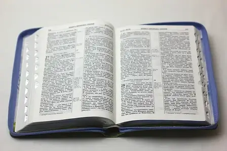 Укр. Біблія середнього формату Огієнко (лілова, шкірзам, блискавка, індекси, золото, 15х20), фото 3