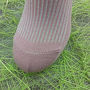 Шкарпетки жіночі медичні без гумки високі весна/осінь р.23-25 рубчик асорті ReflexTex 30032324, фото 7