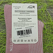 Шкарпетки жіночі медичні без гумки високі весна/осінь р.23-25 рубчик асорті ReflexTex 30032324, фото 8