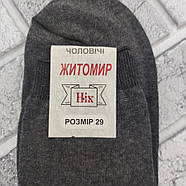 Шкарпетки чоловічі високі весна/осінь сірі р.29 гладь Житомир Нік 960448704, фото 3