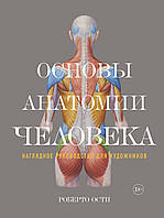 Основы анатомии человека. Наглядное руководство для художников. Роберто Ости.