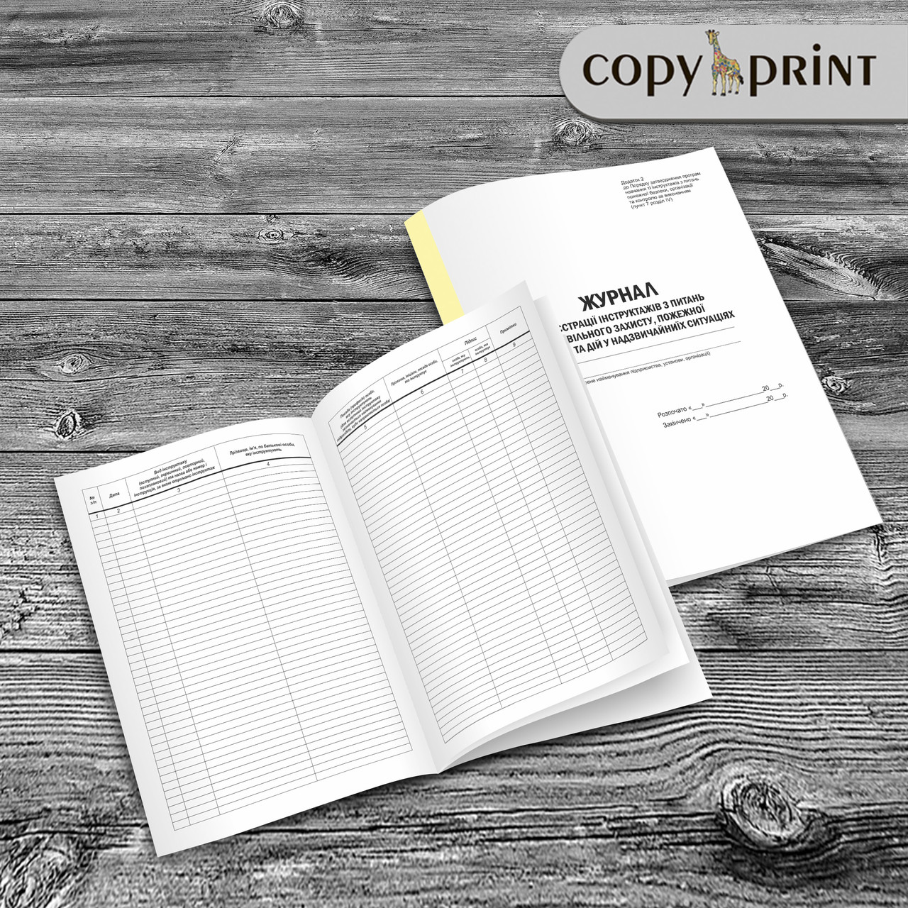 Журнал — Реєстрація інструктажів із питань цивільного захисту, пожежної безпеки та дій в НС, фото 1