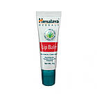 Бальзам для губ (Lip balm) 10 г — Himalaya