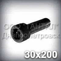 Гвинт М30х200 шестигранний шліц DIN 912 (ГОСТ 11738-84) з циліндричною головкою