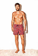Мужские пляжные шорты с принтом David DM20-017 54(XXL) Красный