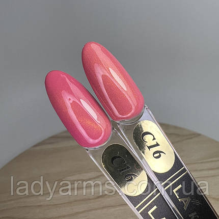 З16 кішка, фото 1