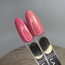 З16 кішка, фото 3