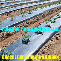 Плівка для мульчування ПОМІДОР - ЧОРНА