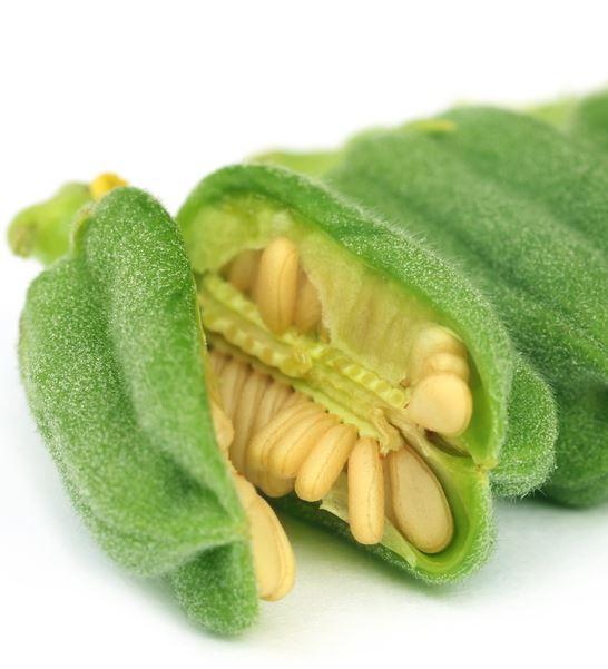 Кунжутна олія