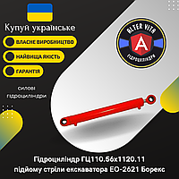 Гидроцилиндр подъема стрелы ЭО-2621 Борекс (ГЦ110.56.1120.11)