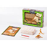 Розкопки динозаврів малі, фото 2